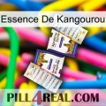 Kangaroo Essence 12